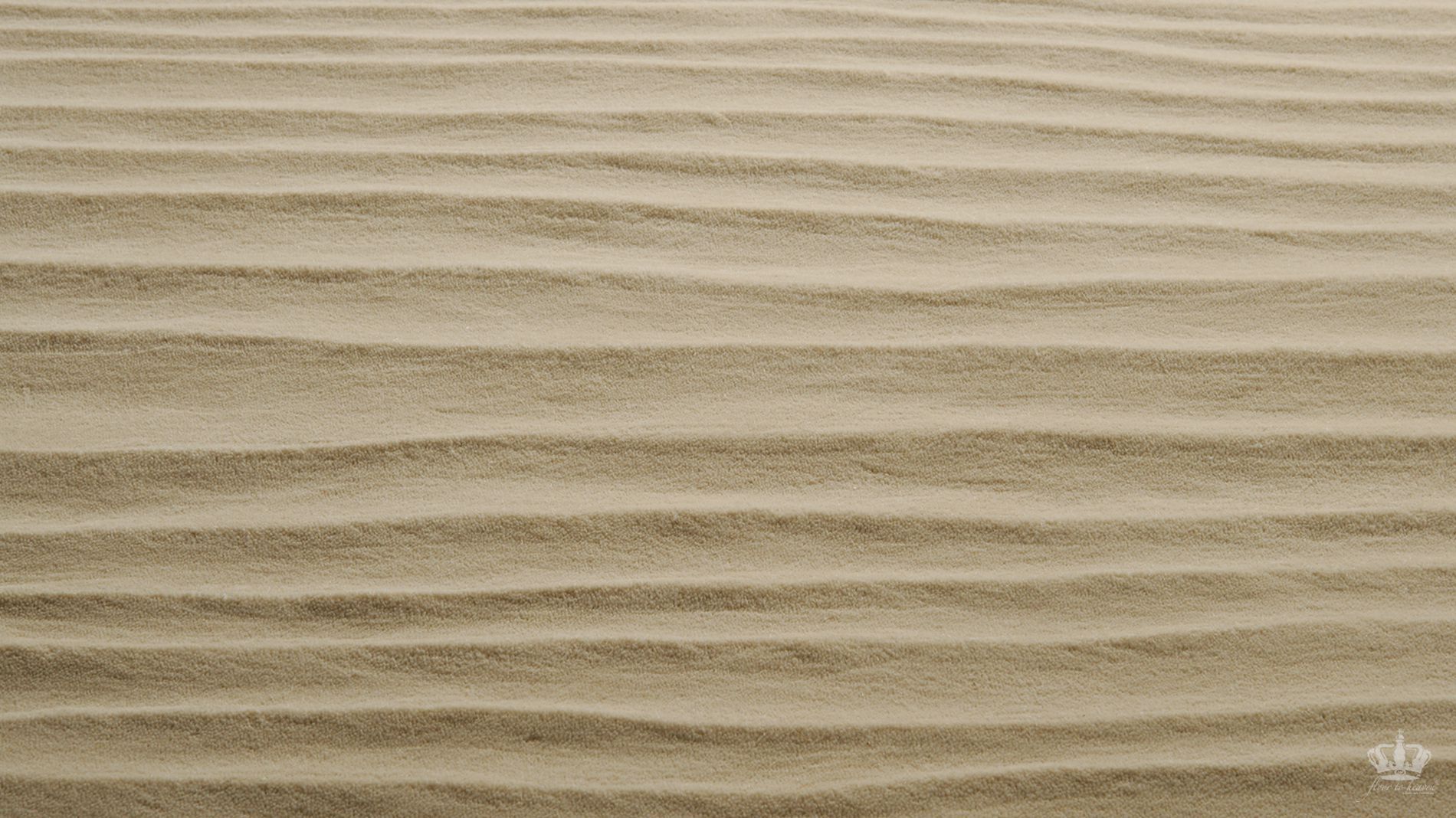 collections/ms-beach-1a.jpg